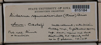 Image Associated With the Occurence